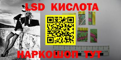 винт Будённовск