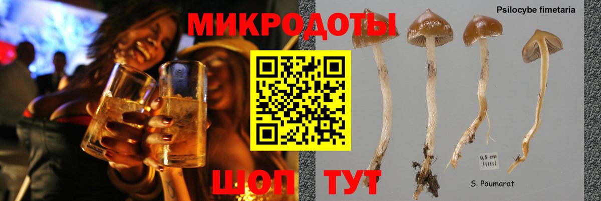 Спасск-Дальний  хочу наркоту  Галлюциногенные грибы Psilocybine cubensis  Вход с VPN  Псилоцибиновые грибы прущие грибы 